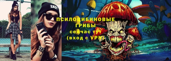 ГАЛЛЮЦИНОГЕННЫЕ ГРИБЫ Бугульма